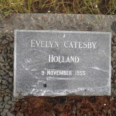 HOLLAND Evelyn Catesby -1955