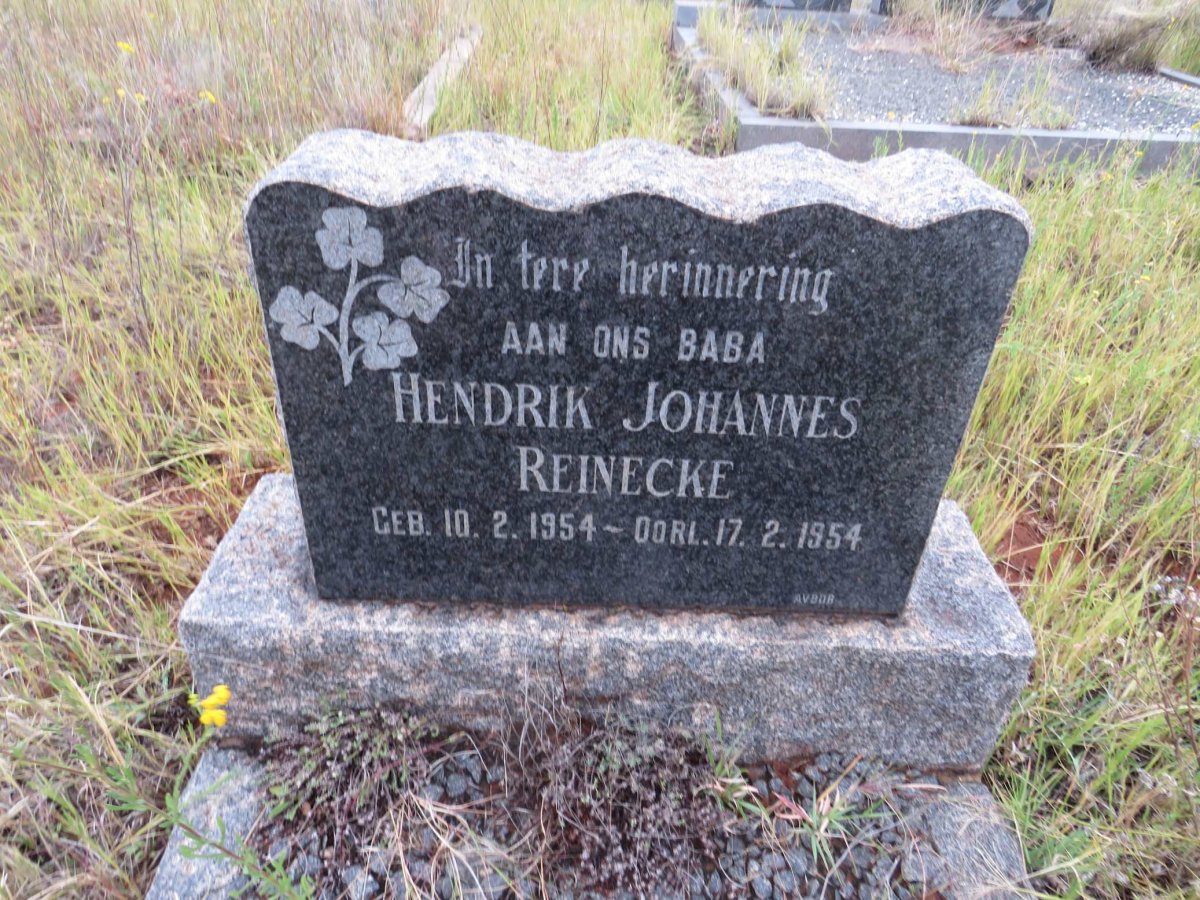 REINECKE Hendrik Johannes 1954-1954