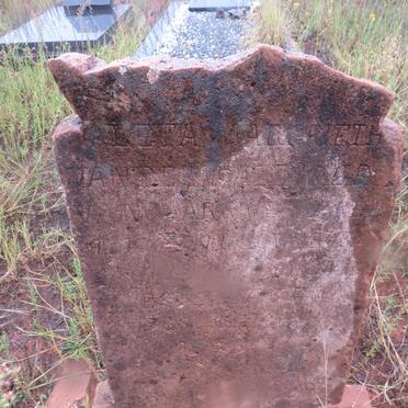 WALT Aleta Margrietha, van der nee VAN JAARSVELD 1896-1929