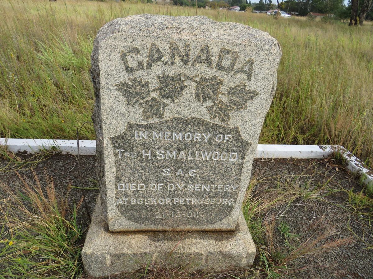 SMALLWOOD H. -1901
