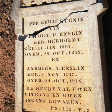 ENSLIN Jacoba P. nee HERHOLDT 1891-1918 :: ENSLIN Andries A. 1917-1918