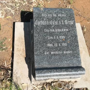 MERWE Carolina, v.d. nee VAN SCHALKWYK 1883-1953