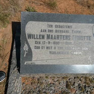 SCHUTTE Willem Maartens 1890-1950