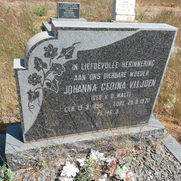 VILJOEN Johanna Gedina nee V.D. WALT 1890-1970