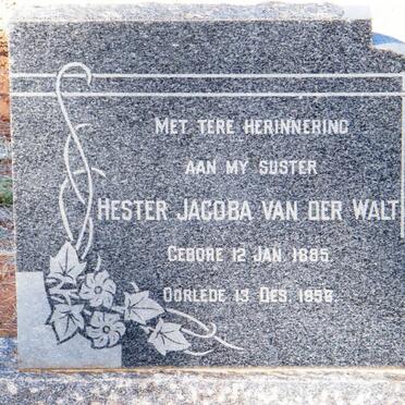WALT Hester Jacoba, VAN DER 1885-1958