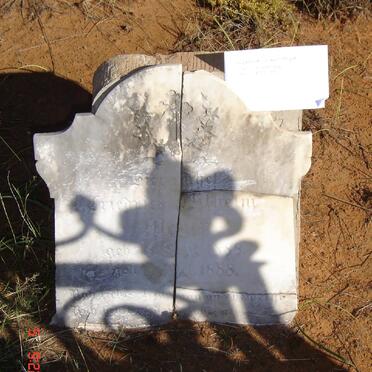 MEYER Wilhelm 1888-1888