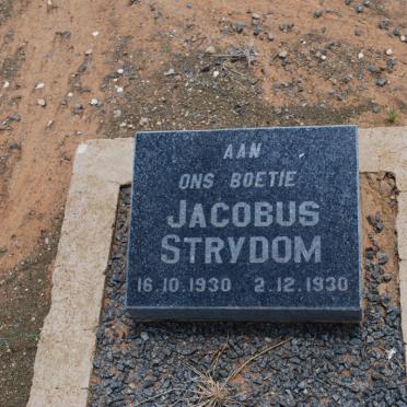 STRYDOM Jacobus 1930-1930
