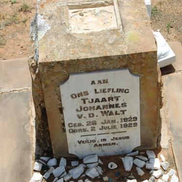 WALT Tjaart Johannes, van der 1929-1929