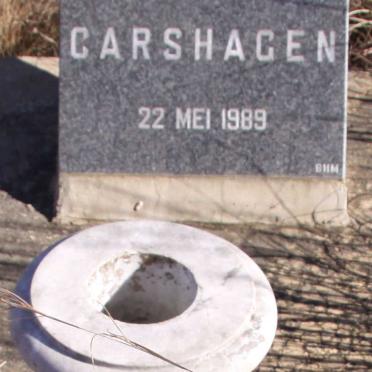 CARSHAGEN Baba 1989-1989