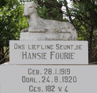 FOURIE Hansie 1919-1920