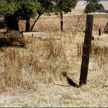 Free State, REITZ district, Klipvantyn 262, farm cemetery