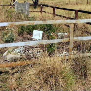 Free State, REITZ district, Greyville 826, farm cemetery