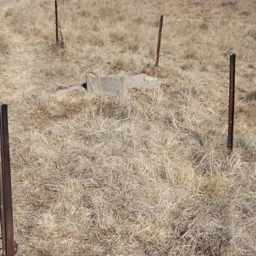 Free State, REITZ district, Uitkomst 823, farm cemetery