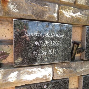 MOLLENTZE Sanette 1966-2016