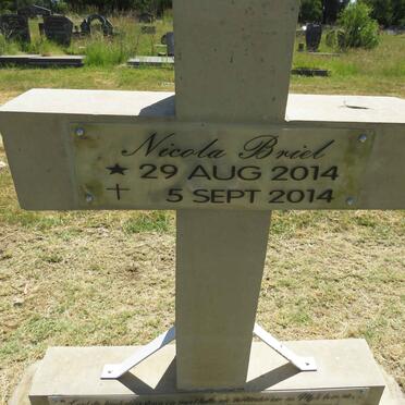 BRIEL Nicola 2014-2014