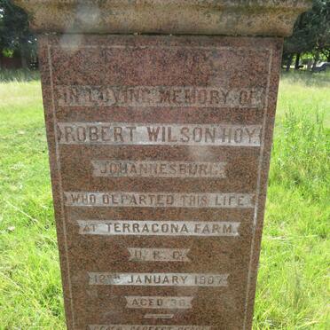 HOY Robert Wilson -1907