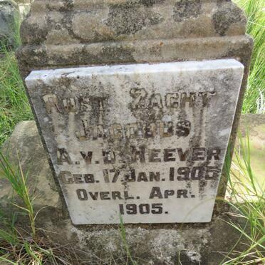 HEEVER Jacobus A., v.d. 1905-1905