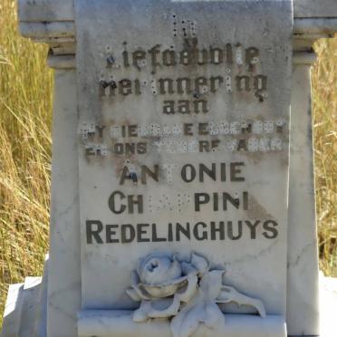 REDELINGHUYS Antonie Chiappini 1886-1930 _2