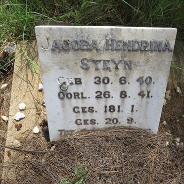 STEYN Jacoba Hendrina 1940-1941