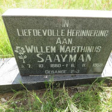 SAAYMAN Willem Marthinus 1880-1959