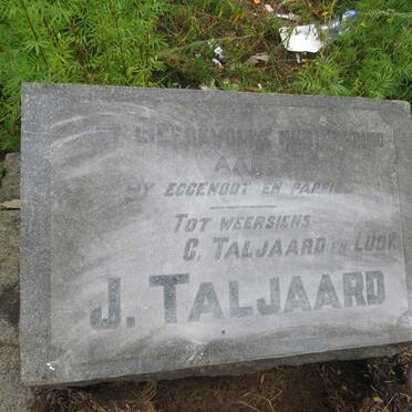TALJAARD J.