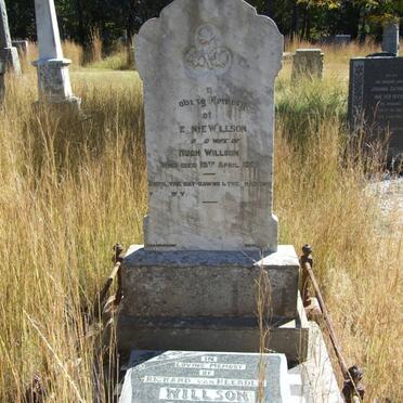 WILLSON Hennie -1921 :: WILLSON Richard van Heerden 1910-1951 _1