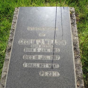 WILLSON Cecilia J. nee BESTER 1895-1987