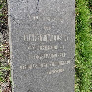 WILLSON Harry 1891-1957