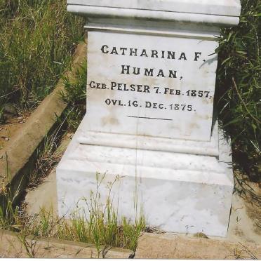 Free State, ROUXVILLE district, Vogelfontein 418, farm cemetery