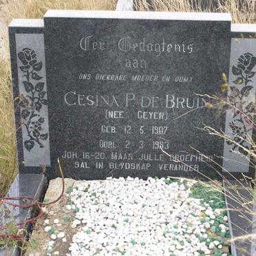 BRUIN Gesina P., de nee GEYER 1907-1986