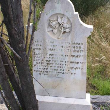 HOVEN Thomas Adam, van der -1899