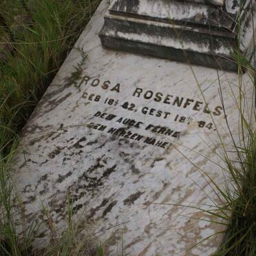 ROSENFELS Rosa 1882-1884