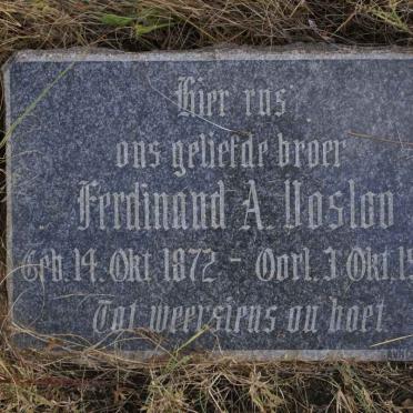 VOSLOO Ferdinand A. 1872-1952