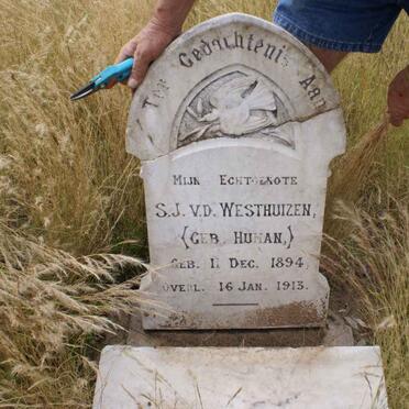 WESTHUIZEN S.J., v.d. nee HUMAN 1894-1913