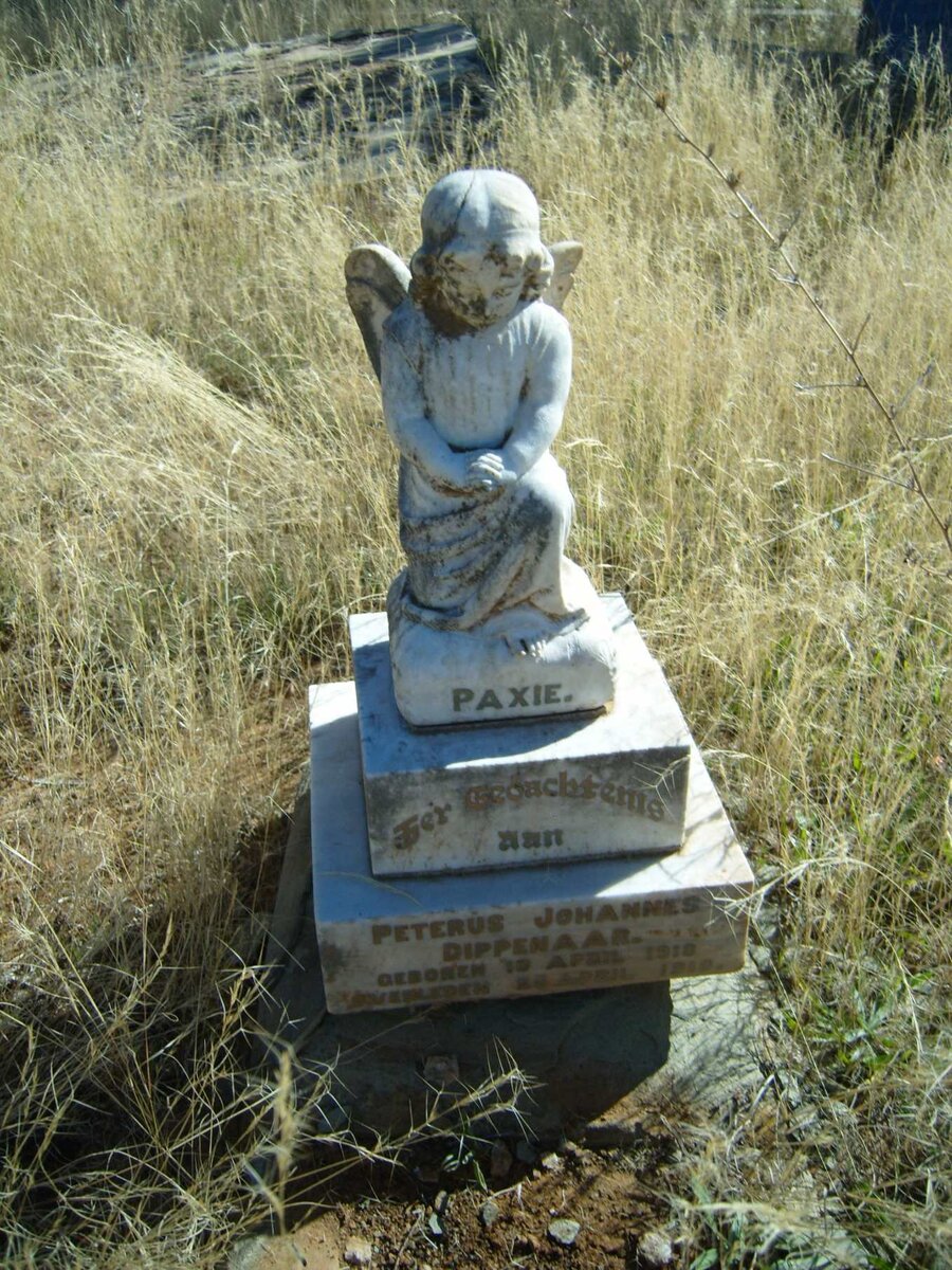 DIPPENAAR Peterus Johannes 1918-1918