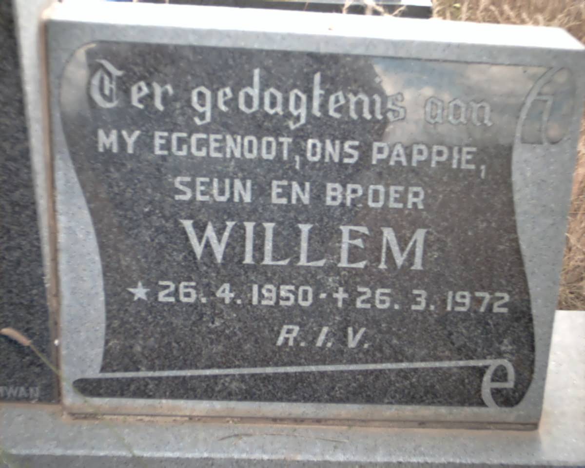 ROSA Willem, de la 1950-1972