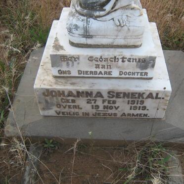 SENEKAL Johanna 1919-1919