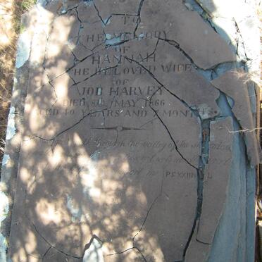 HARVEY Hannah -1866 