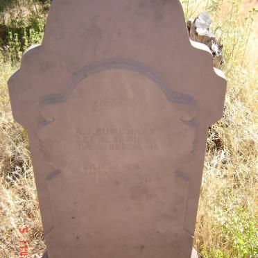 DUVENAGE A.J. 1891-1916