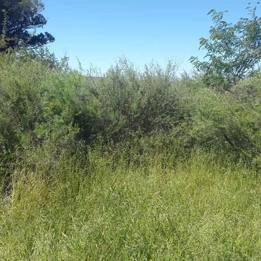 1. Oorsig / Overview