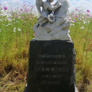 NILAND Ada E.S. -1928