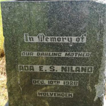 NILAND Ada E.S. -1928