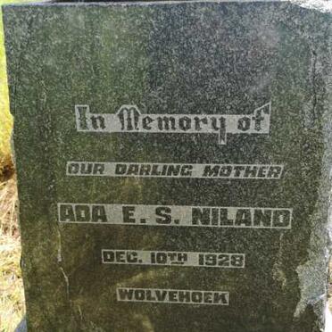 NILAND Ada E.S. -1928