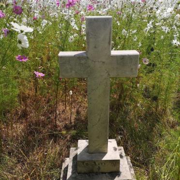 PATTISON William -1915