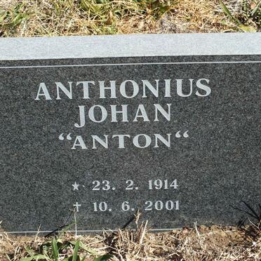 ANTHONIUS Johan 1914-2001