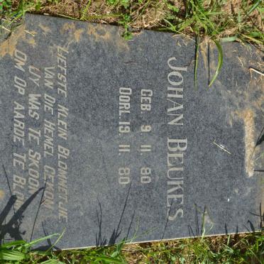 BEUKES Johan 1980-1980