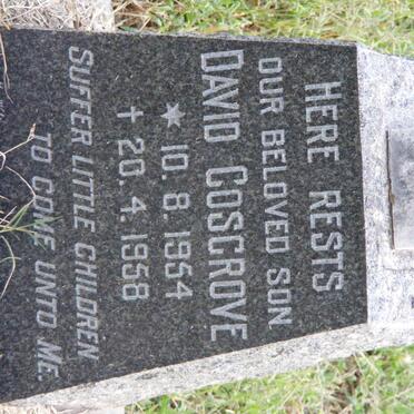 COSGROVE David 1954-1958