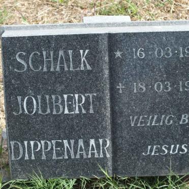 DIPPENAAR Schalk Joubert 1979-1979