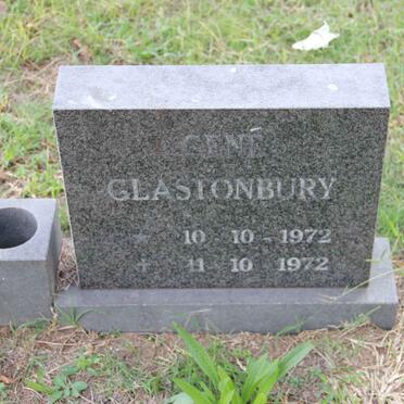 GLASTONBURY Gene 1972-1972