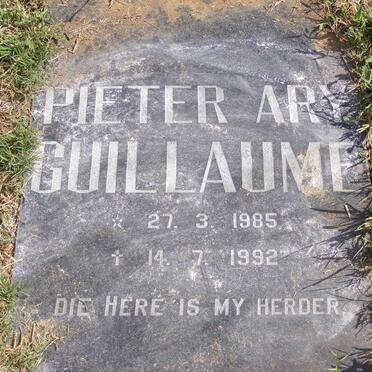 GUILLAUME Pieter Ary 1985-1992